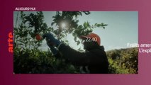 Fruits amers : L’exploitation des saisonniers agricoles - 19 mars