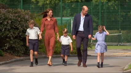 Royal Recovery Remedies Creates a Divide Within the Palace Walls