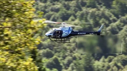 Bear grylls : vip vs wild - 20 mars