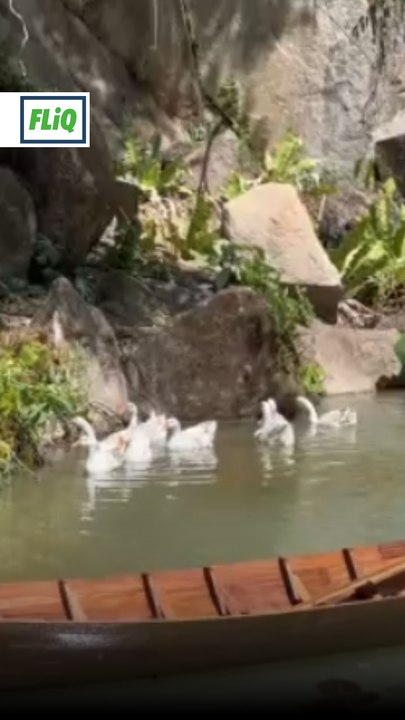 Cafe ada mini zoo
