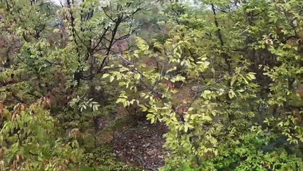 Define İşaretlerini Takip Ettim !!! Sonun da Buldum.