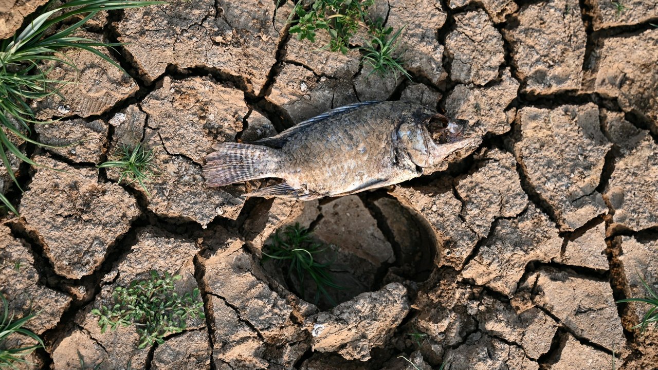 UNO-Klimabericht: Jahr 2023 brach alle Hitzerekorde