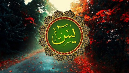 surah yaseen (No copyright) - surah yaseen - No copyright - royality free - a walking shadow