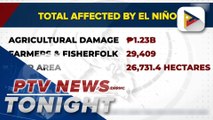 Agri damage due to El Niño reached P1.75-B; Nearly 30-K farmers, fisherfolk affected