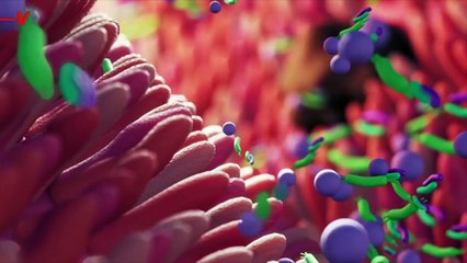 City Folks Are Losing Their Capacity for Digesting Plants