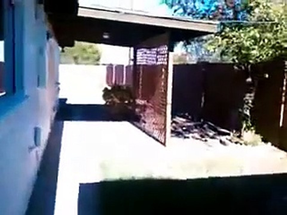 Phoenix Rent To Own 4101 W Morten Avenue Phoenix, AZ 85051 Lease Option Homes For Sale