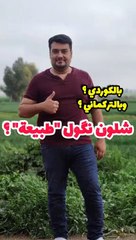 Learn Languages Arabic Kurdish Turkmen