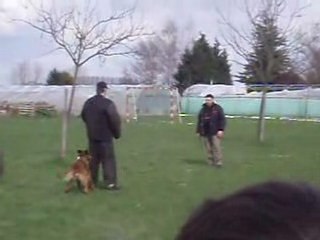demonstration knpv