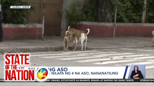 State of the Nation: Nilapa ng aso | SONA