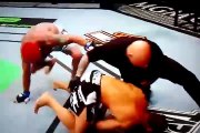 Wanderlei Silva Vs Chris Leben UFC 132 Fight Video