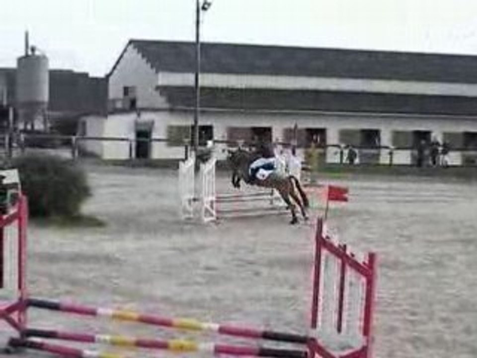 CSO Harlequin & Canelle