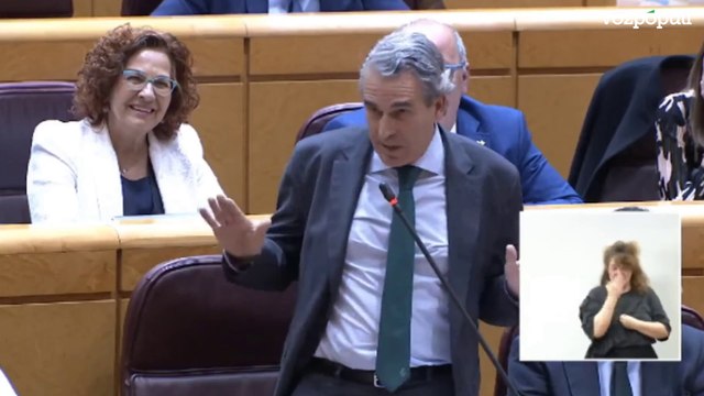 Sanz Vitorio (PP) a Óscar Puente: Ya sabe lo que decía Einstein, la genialidad y la estupidez solo se diferencian en que la primera tiene límites. Usted el día de los límites no fue a clase