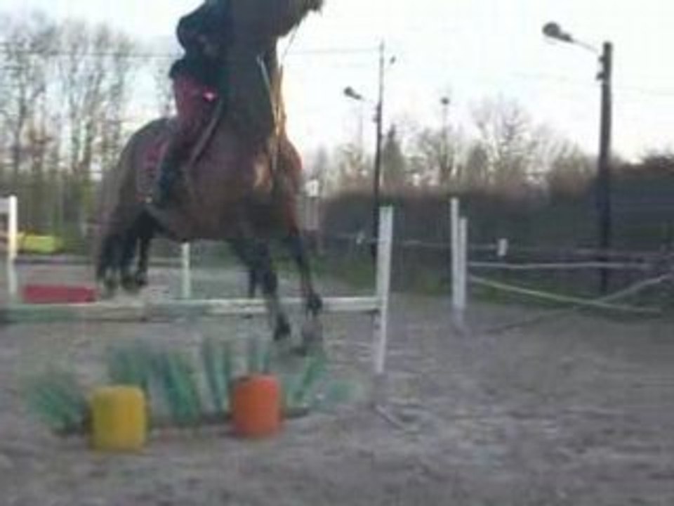 edith et memphis en saut