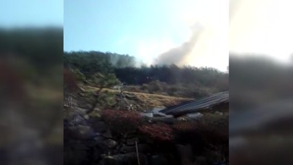 충남 서산 인지면에 산불..."강한 바람이 진화작업 방해" / YTN