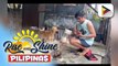 Wednesday Pets Day: Mga rescued dog ng animal advocate na si Raevin Bonifacio, kilalanin!