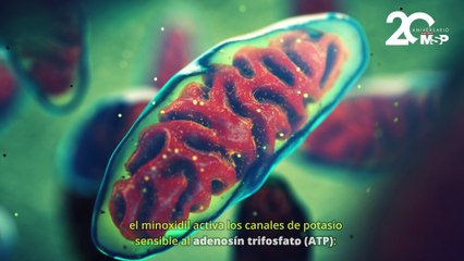 ¿Qué es el minoxidil y cómo trata la hipertensión?