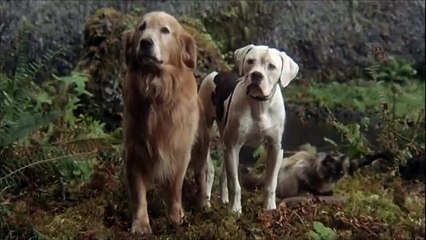 L'Incroyable Voyage Bande-annonce (ES)