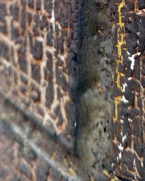 |HABIB ARIEL CORIAT HARRAR | UN MUNDO INTERCONECTADO (PARTE 3) (@HABIBARIELC)