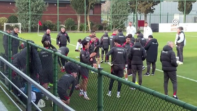 Millilerin Avusturya ve Macaristan mesaisi sürdü