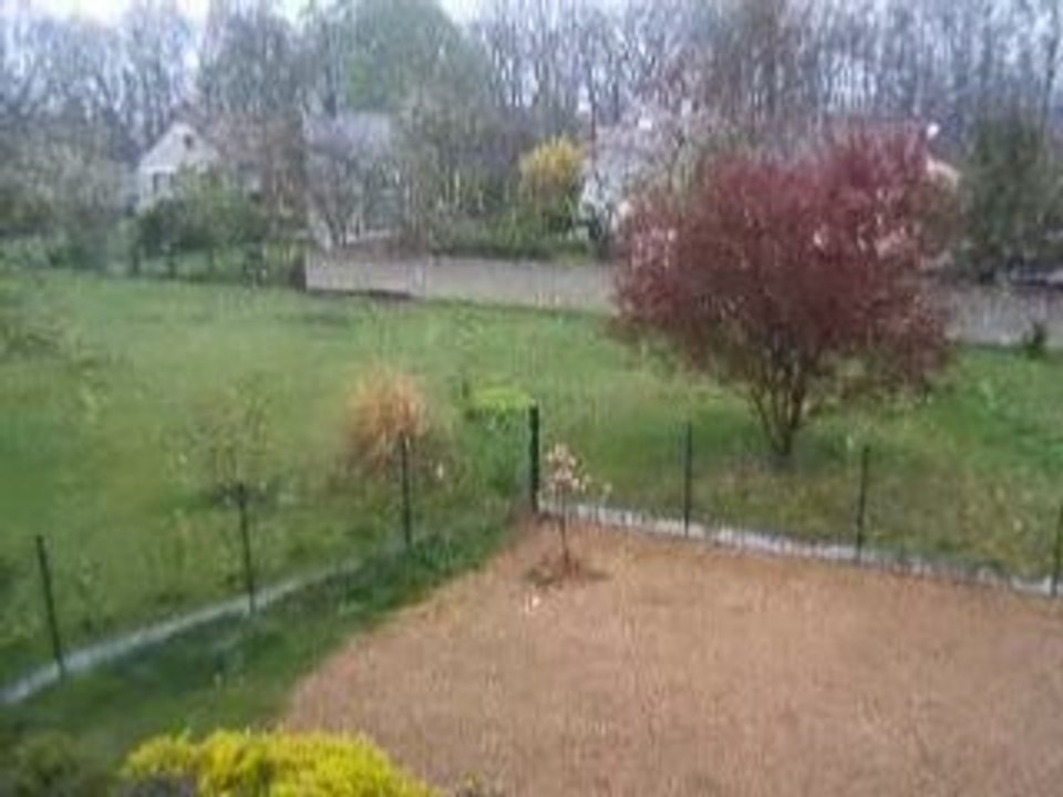 DSCF2805