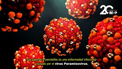 ¿Qué son las paperas y cómo funcionan? - #ExclusivoMSP