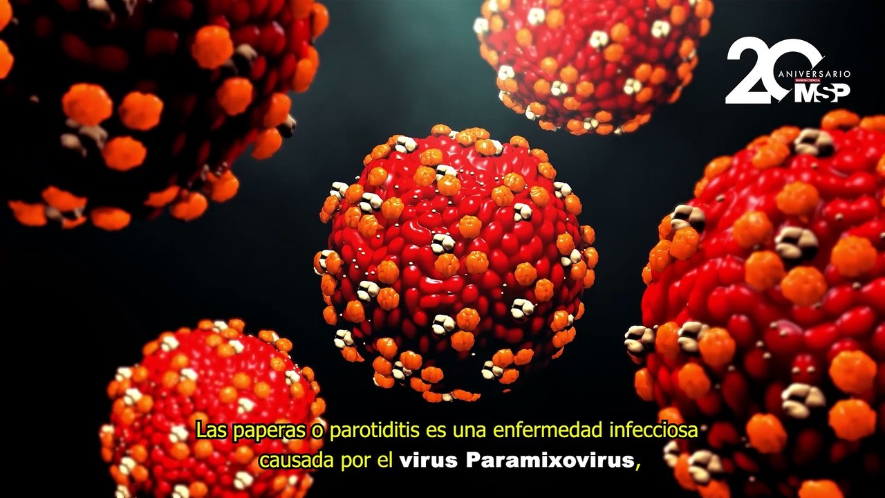 ¿Qué son las paperas y cómo funcionan? - #ExclusivoMSP