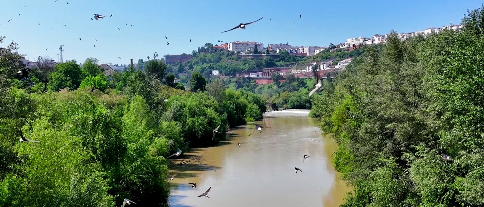 Iberia, naturaleza infinita - Tráiler