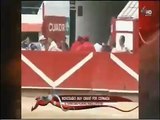 Brutal cornada, Toro saltó al callejón en Plaza Toros Nuevo Porgreso Guadalajara