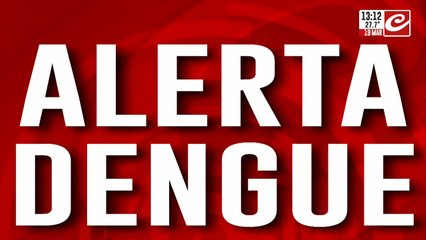 Alerta dengue: hay más de 10 mil casos en Chaco
