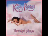 katy perry - The one that got away