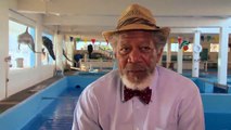 Dolphin Tale - Interview Morgan Freeman - Dr. Cameron McCarthy