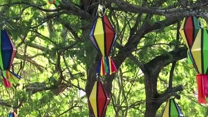 Confira a PROGRAMAÇÃO do PÁTIO DE EVENTOS do SÃO JOÃO DE CARUARU 2024