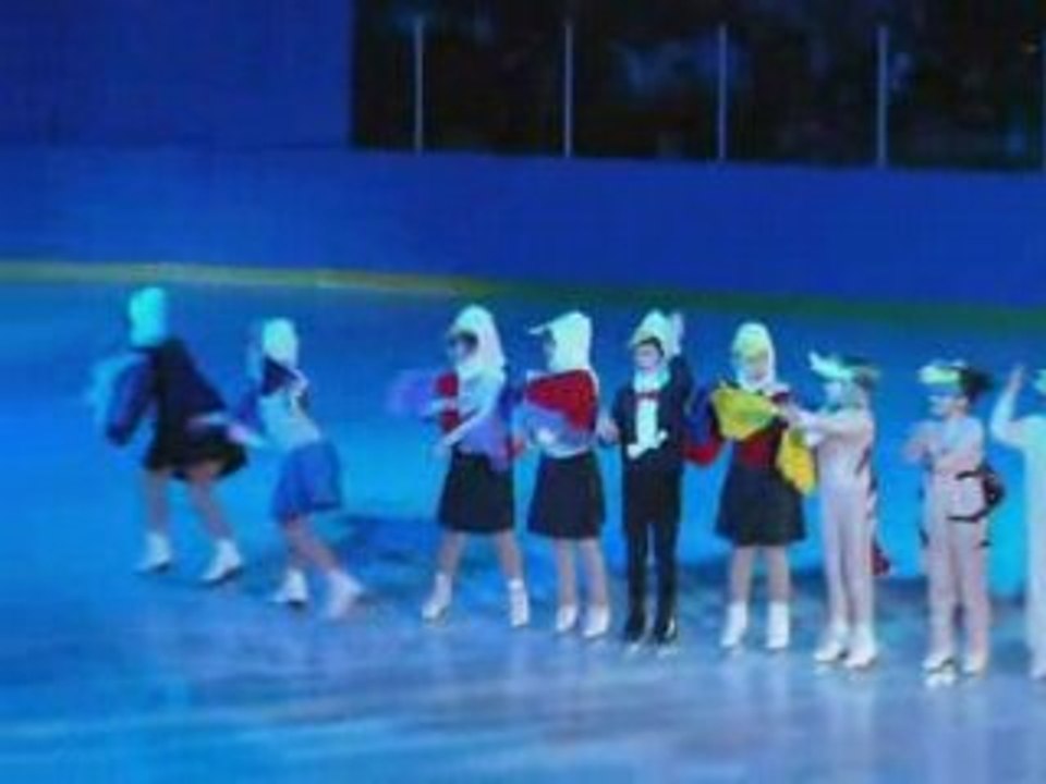 Spectacle patin 1 ()