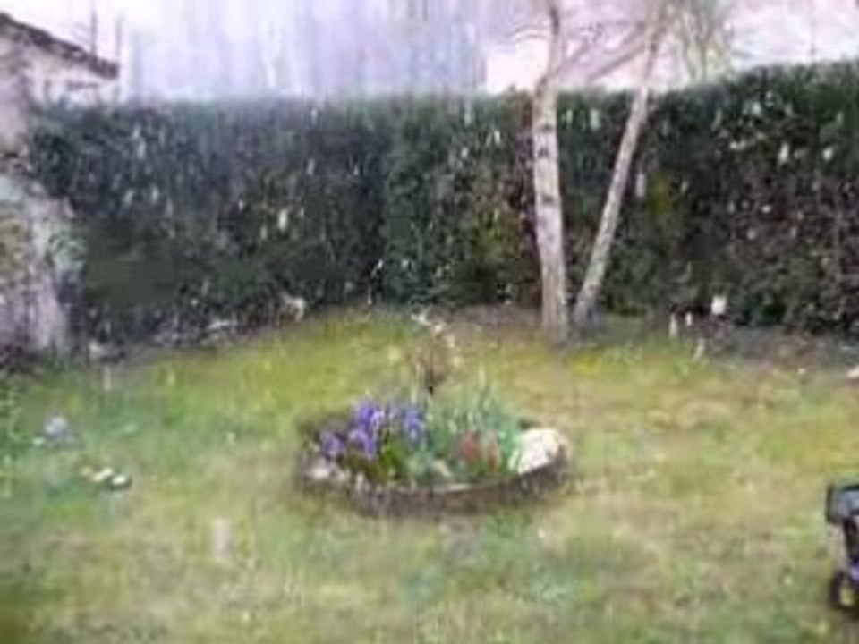 06-04-08 La neige tombe 005