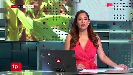 Alerta por langostas en pastizales y cultivos en Cuevo