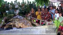 Cocodrilo de video Viral  muere en Costa Rica