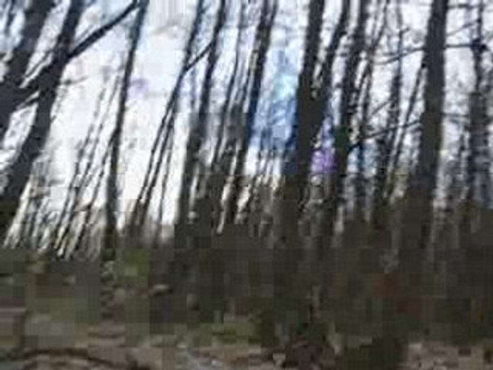 Vtt a Yerres dans le Bois de Notre Dame