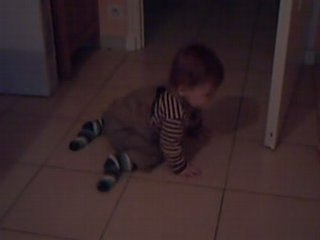 Paul à quatre pattes