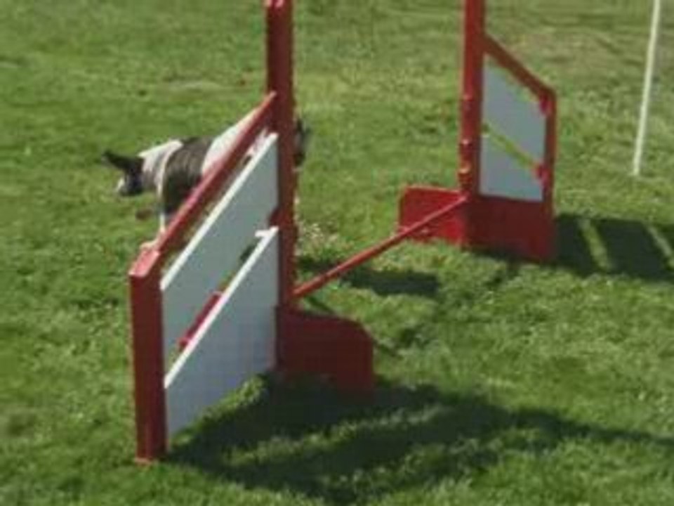 Agility-ralenti