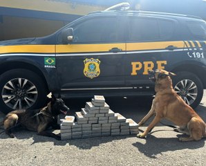 Carrão passa 'voando' forrado de droga e fugindo da PRF pelas ruas de Garuva