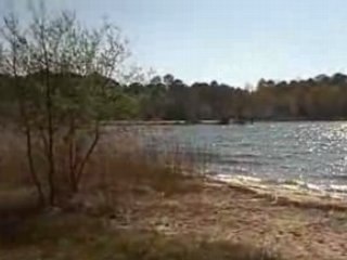 Présentation de notre nouveau projet