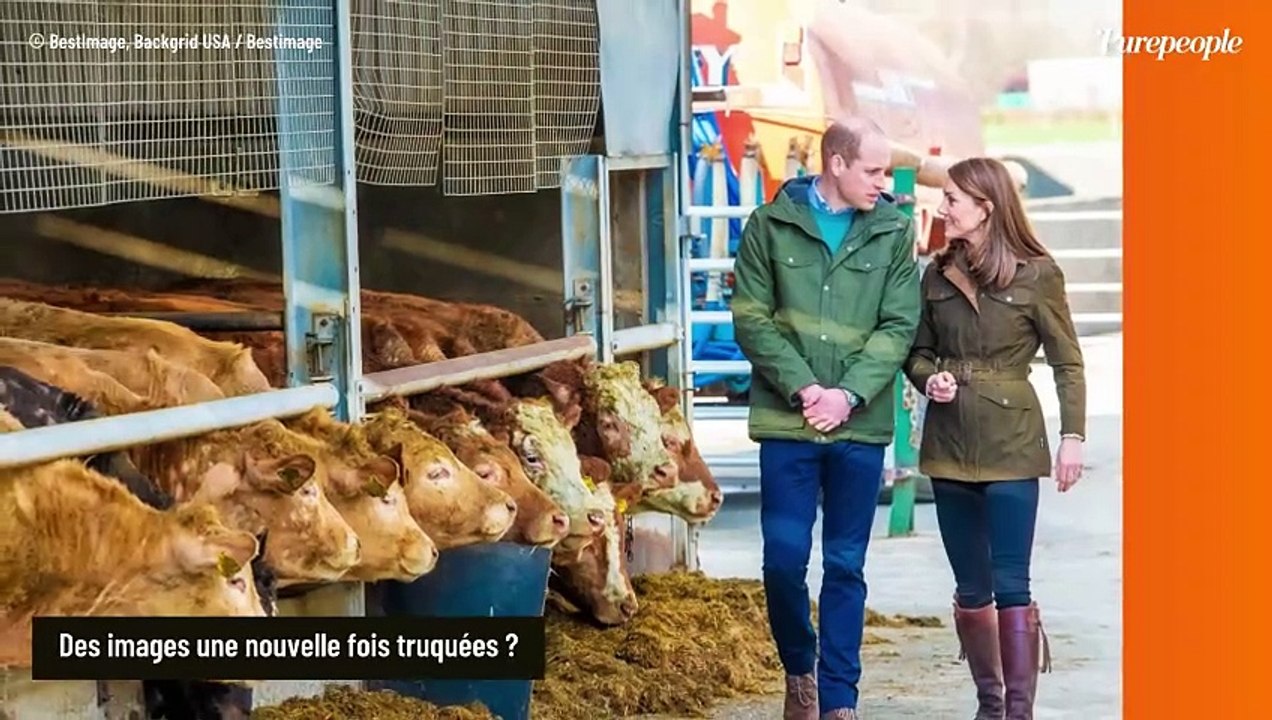 Kate Middleton "considérablement amincie" : un expert français bien connu des téléspectateurs réagit à la vidéo avec William