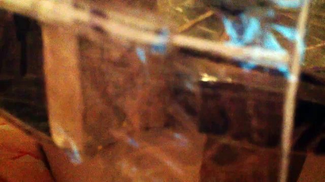 Who Wants To Be A Millionaire Lets Play Theme With Mikey's Studio Model