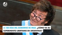 A 100 días del gobierno de Milei, ¿cómo va su experimento libertario en Argentina?