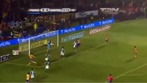 Penalti y Expulsion de Oswaldo Sanchez en Tigres vs Santos