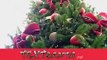 Christmas Song Rockin Around the Christmas Tree by Brenda Lee