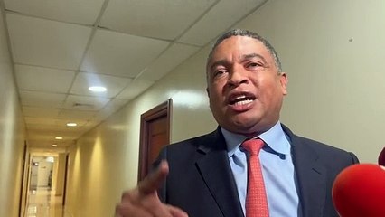 Vocero del PLD en el Senado llama a procuradora a atender caos del sistema penitenciario dominicano