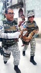 VÍDEO: Jiboia de 10kg é resgatada em bairro de Salvador; veja