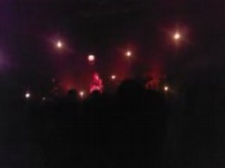 Renan luce lacrymal circus