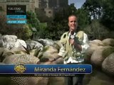 Viaje 2 La Isla Misteriosa  Oficial Clip Formaciones rocosas en Chapultepec Español Latino 2012 HD